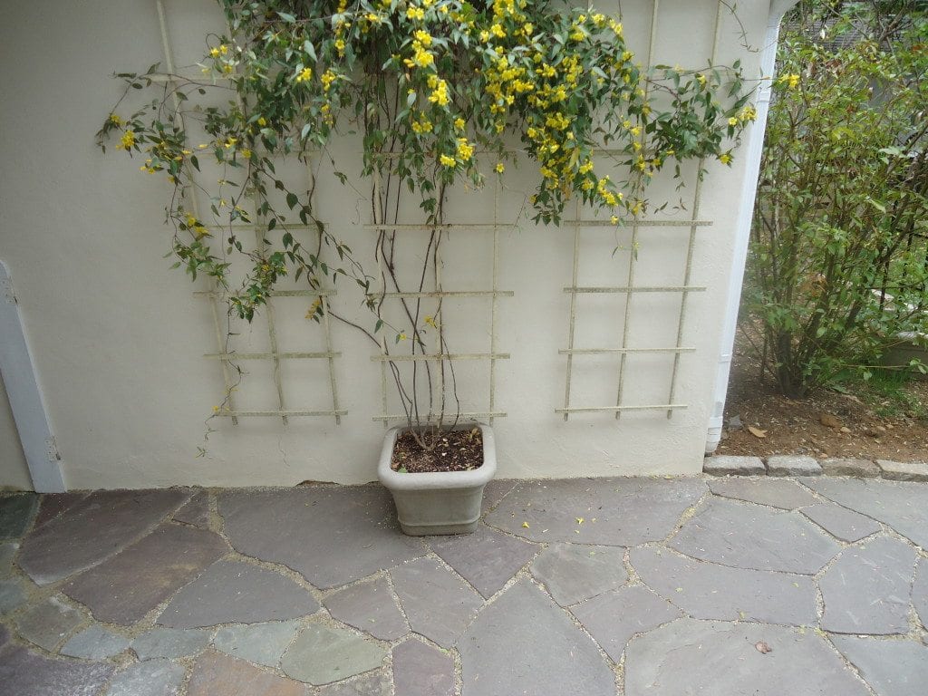 pretty flagstone walkways