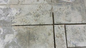 replacing cement between flagstones aka re-pointing