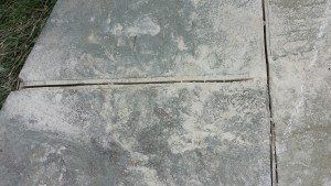 replacing cement between flagstone aka re-pointing