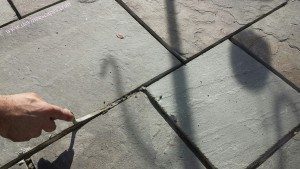 replacing flagstone cement