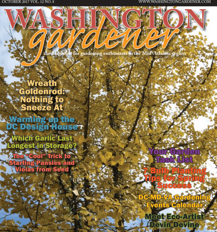 washington dc gardener
