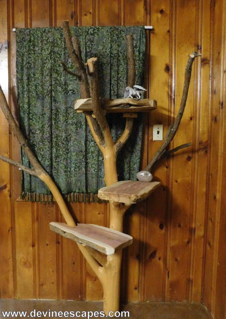 cat tree made from cedar branch
