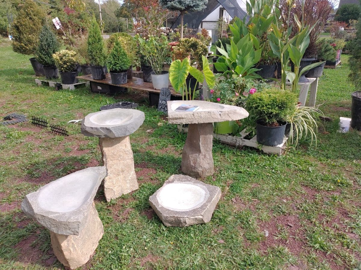 new bird baths in Skippack