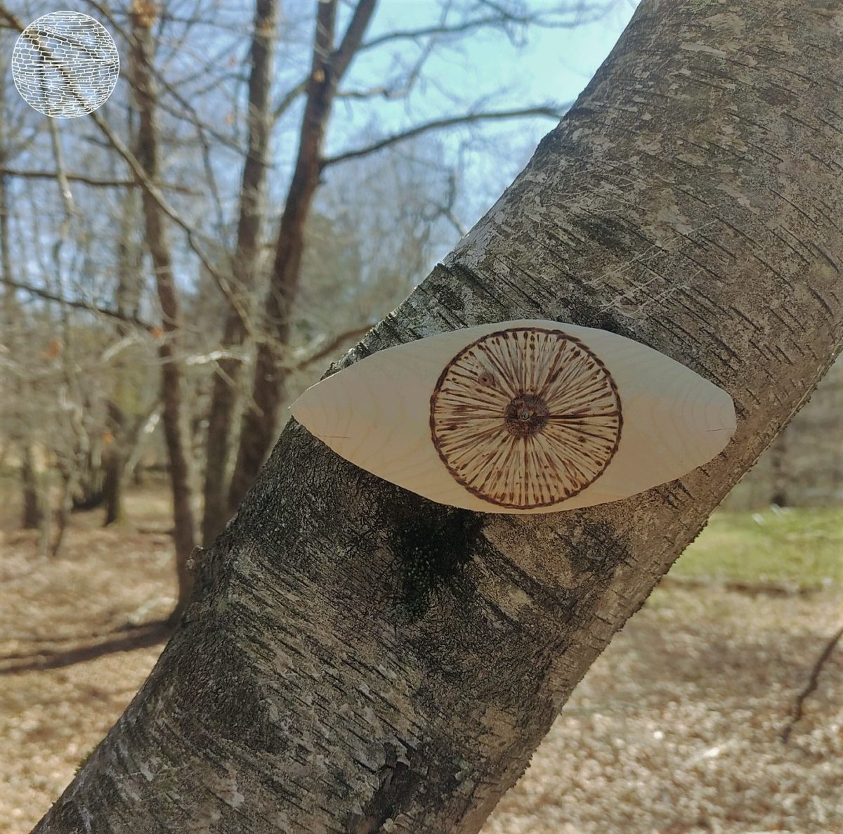 eyes on trees