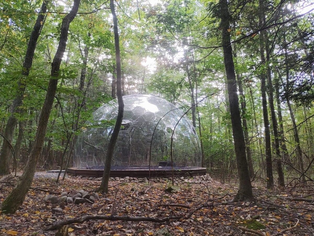 geodeic dome at yoga retreat center