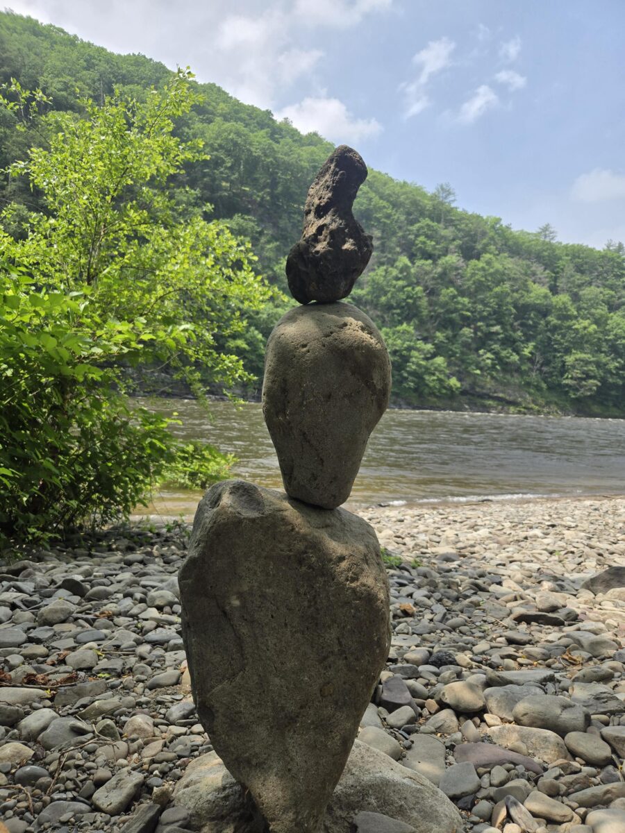 balance uploaded for the terminology page