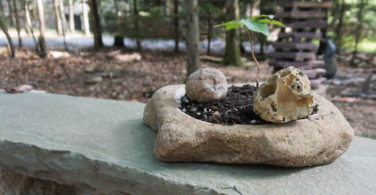 stone bonsai pot