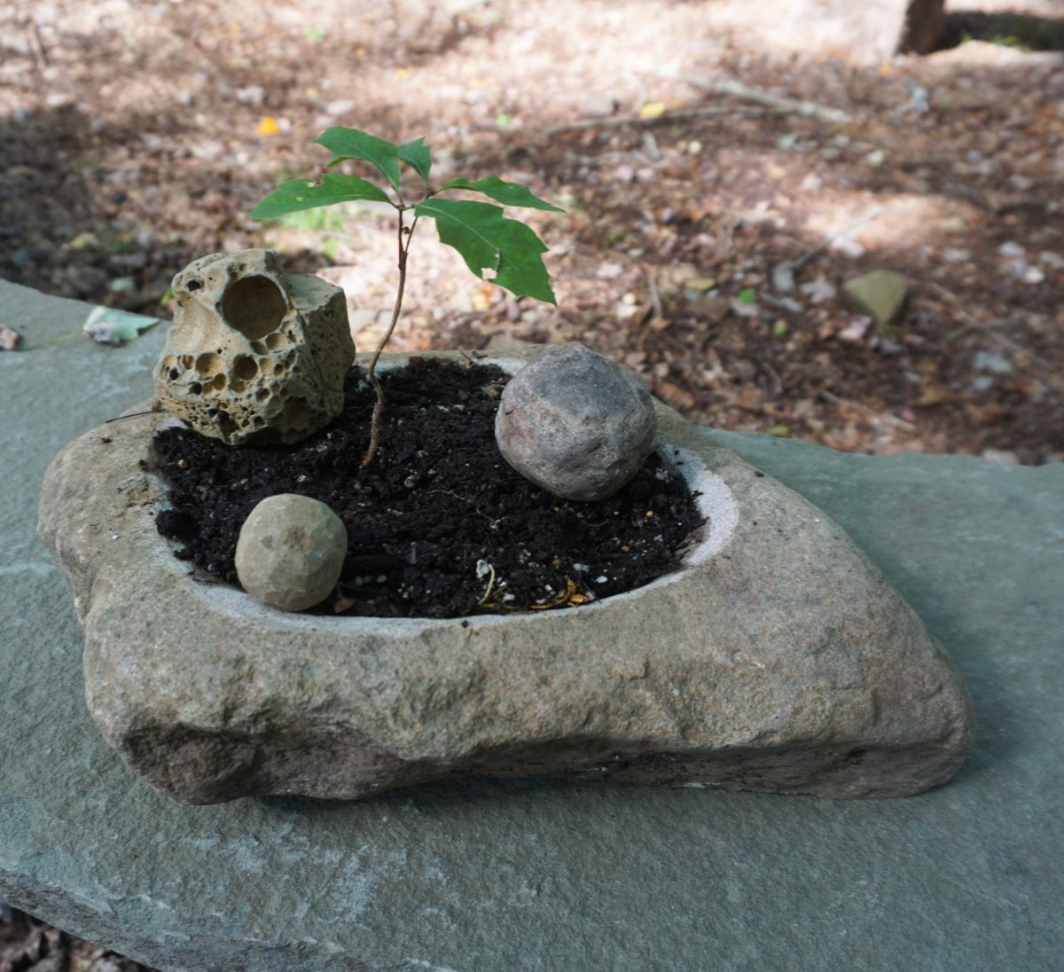 stone vases by devin devine