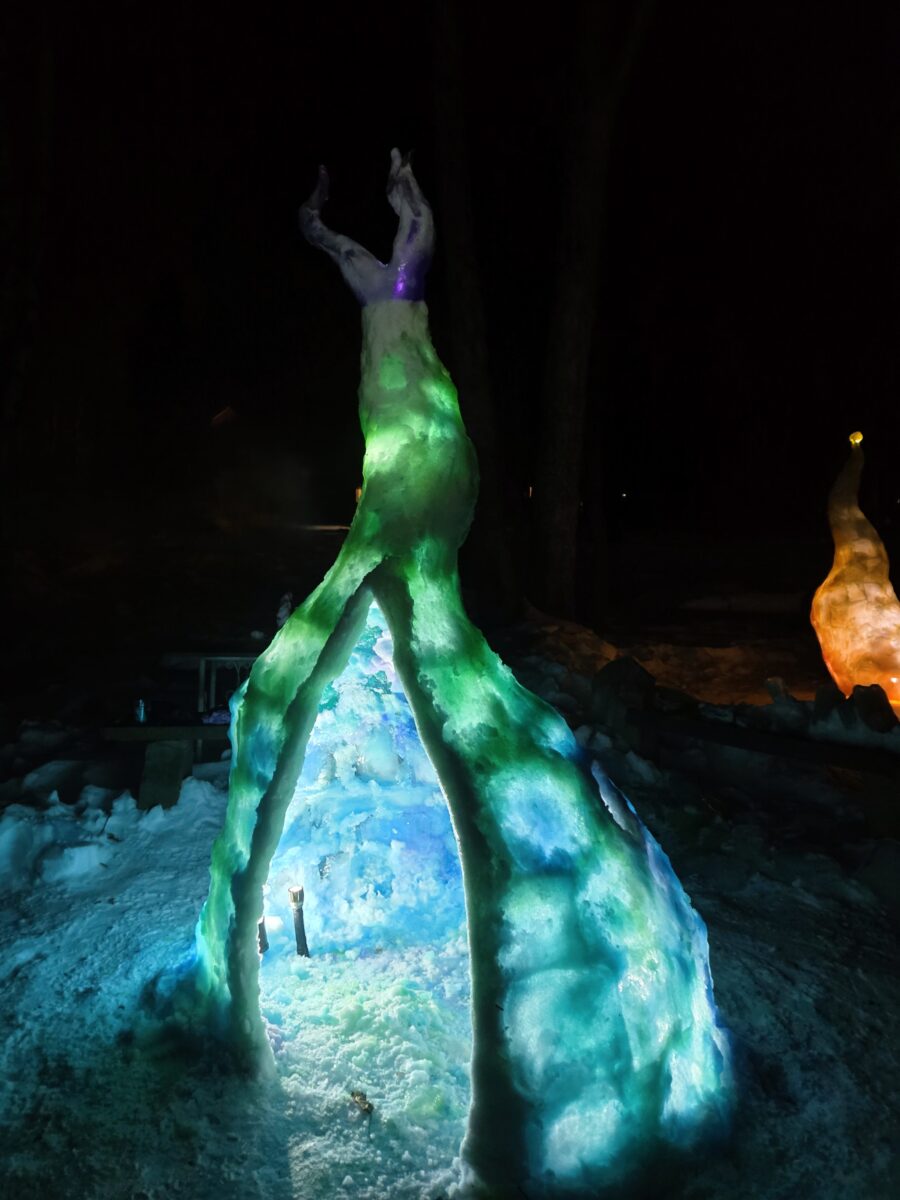 glowing snow house with purple tentacle top