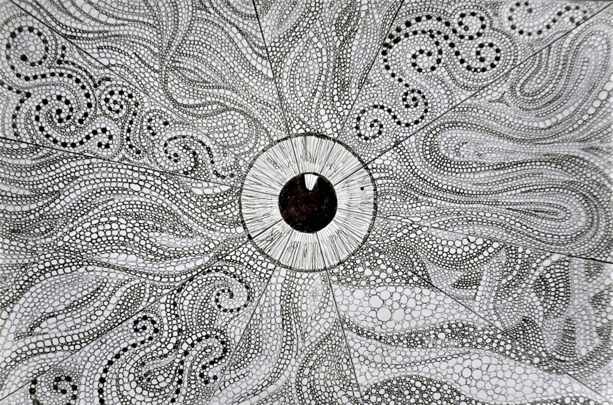 Art collector | Art consultant | original drawings by Devin Devine