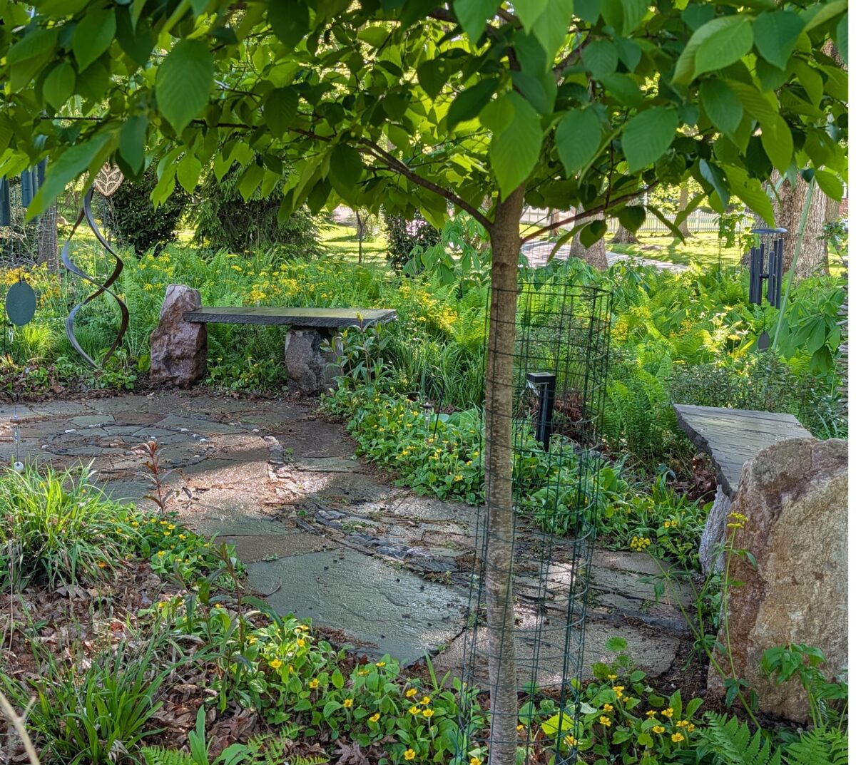 stone path in summer with natural weathering