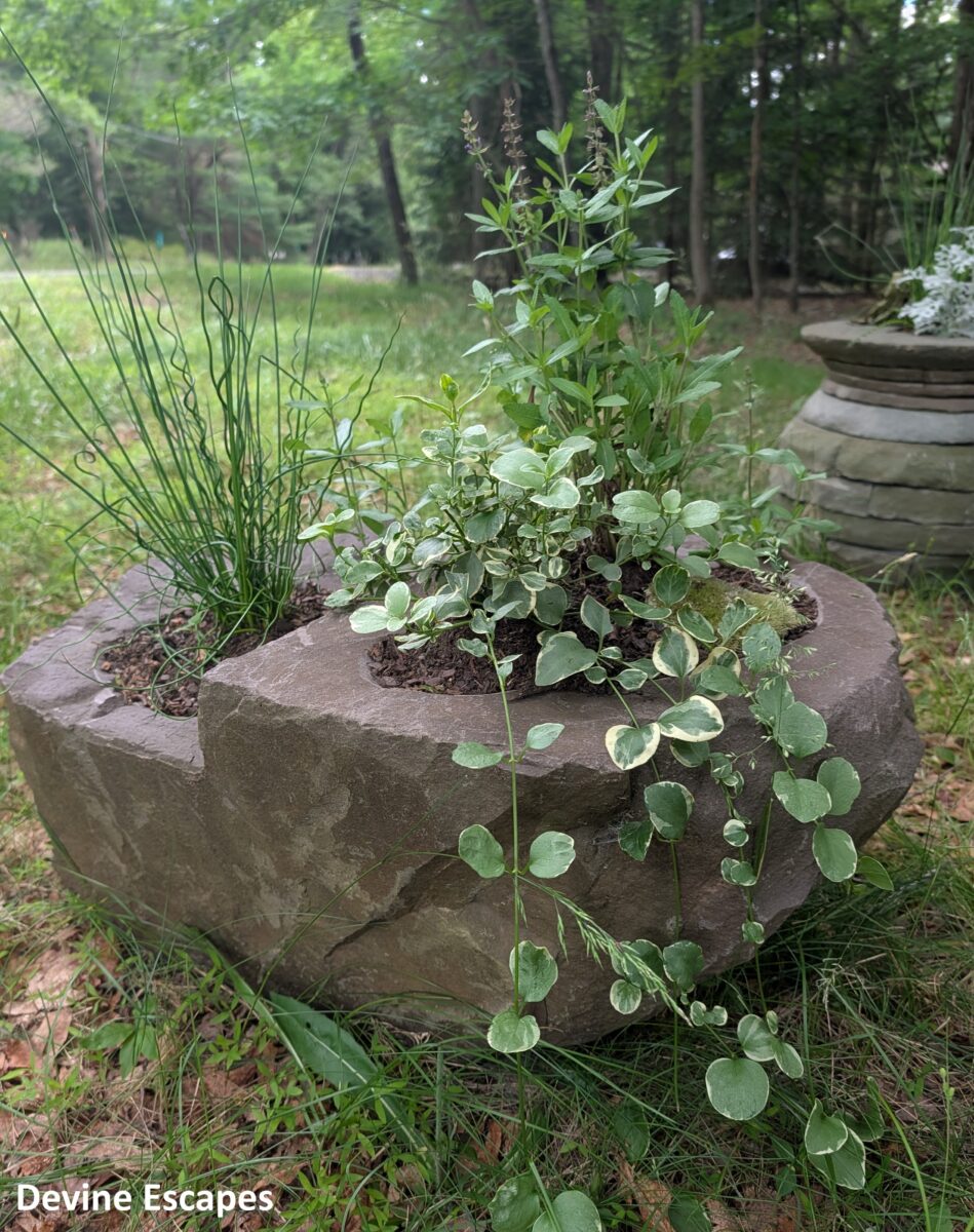 boulder flower pot vase