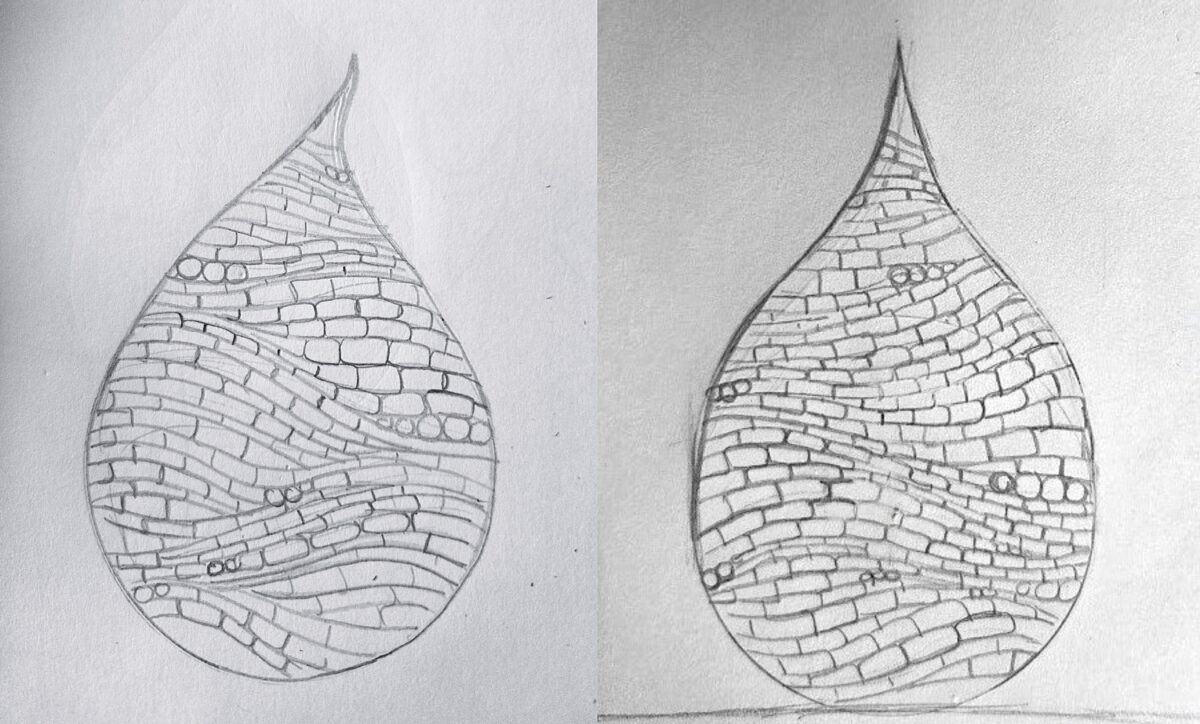 sculpture process drawing