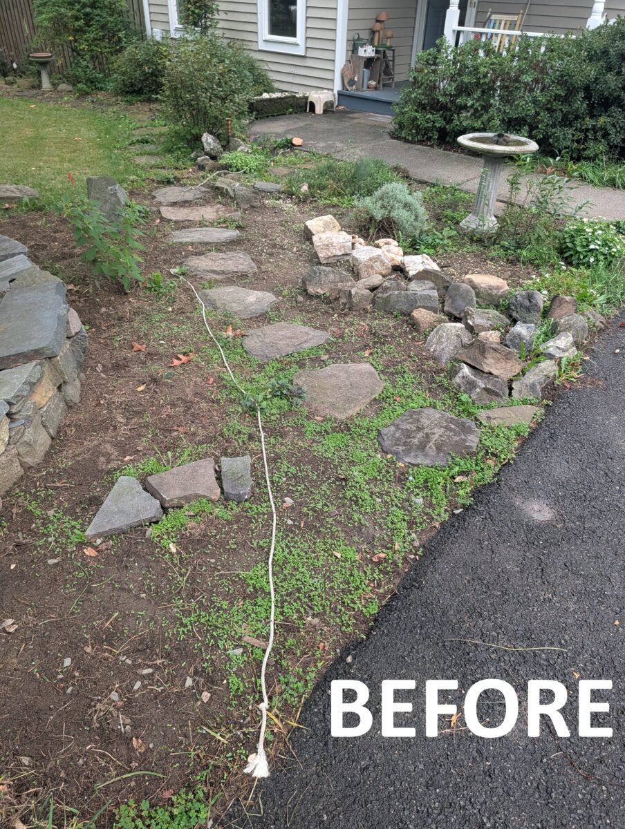 BEFORE and after hardscape